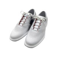 NIKE GOLF iCLSt DM0103-105 2022Nf StV[Y JORDAN ADG4  zCgn TCYF27 NFN yVizStEFA